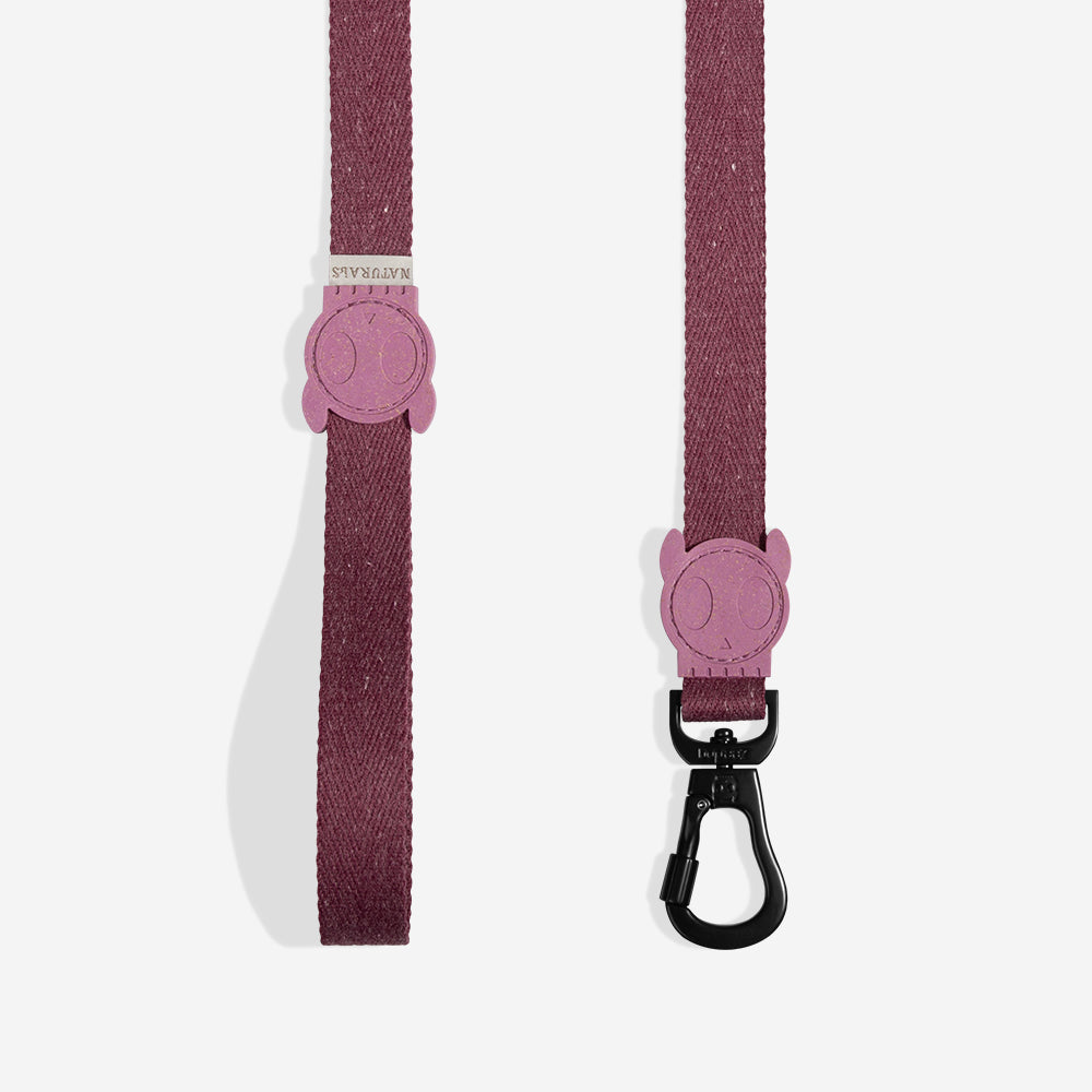 New & Trending Dog Products